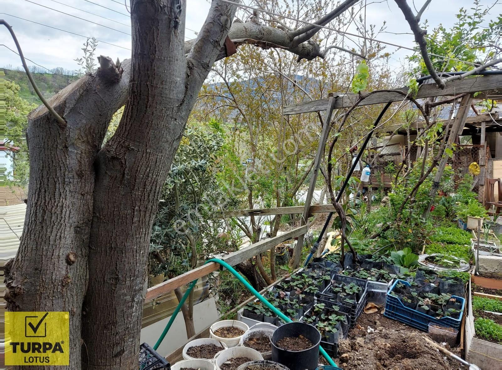 Seferihisar Orhanlı'da Konut+ticari İmarlı 1.786 M² Arsa Fırsatı - Görsel 9