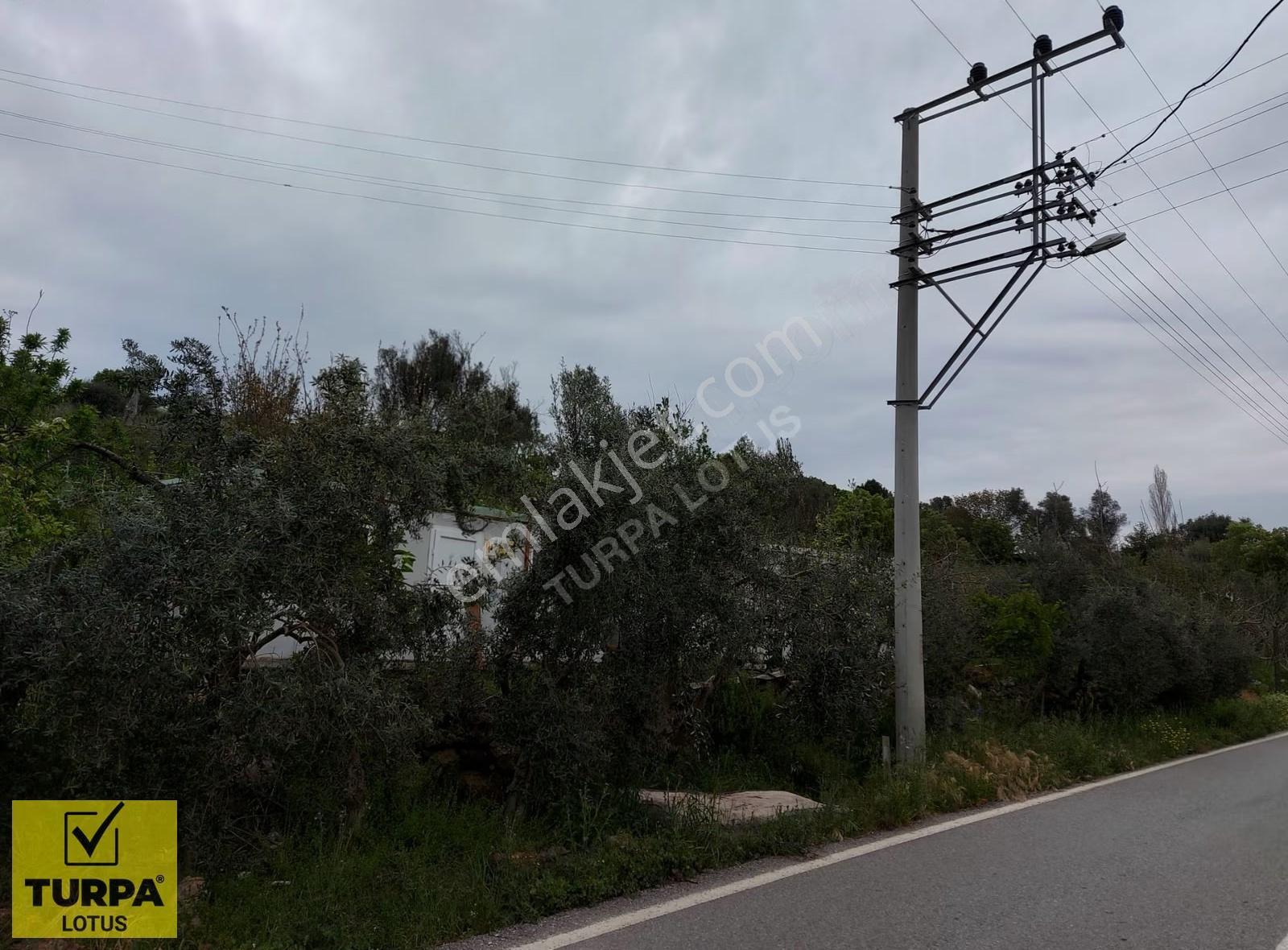 Seferihisar Orhanlı'da Konut+ticari İmarlı 1.786 M² Arsa Fırsatı - Görsel 15