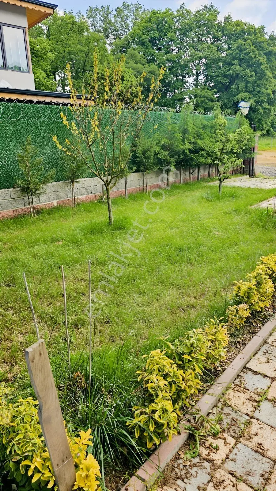 Gebze Denizli Köyünde Hobi Bahçesi - Görsel 12