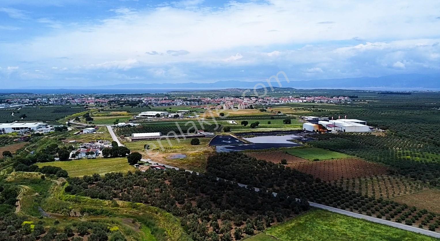 Rw Nefesten Gömeç'te, İmarın Dibinde Fırsat 10 Dönüm Tarla - Görsel 2