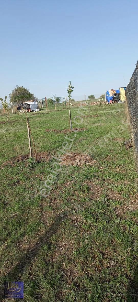 Ayaş Başayaş Mahallesi 720m2 Tapulu Bahçe Teli Çevrili - Görsel 3