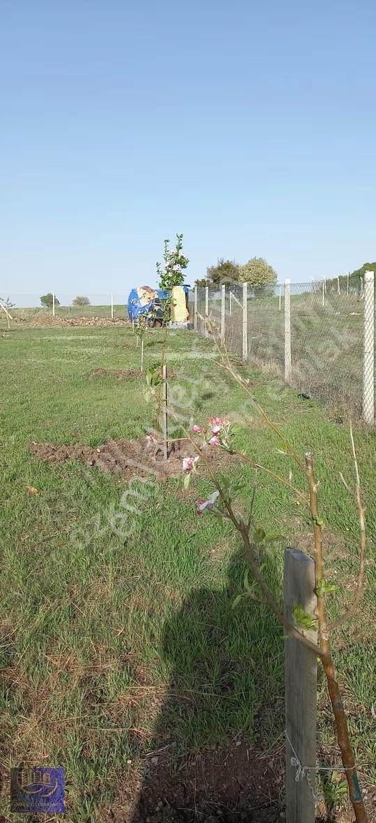 Ayaş Başayaş Mahallesi 720m2 Tapulu Bahçe Teli Çevrili - Görsel 10