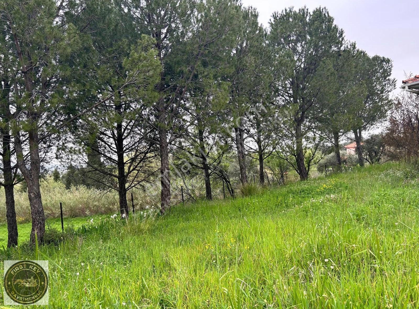Kemalpaşa Aşağı Kızıca'da Satılık 23.680m² Arazi - Görsel 4