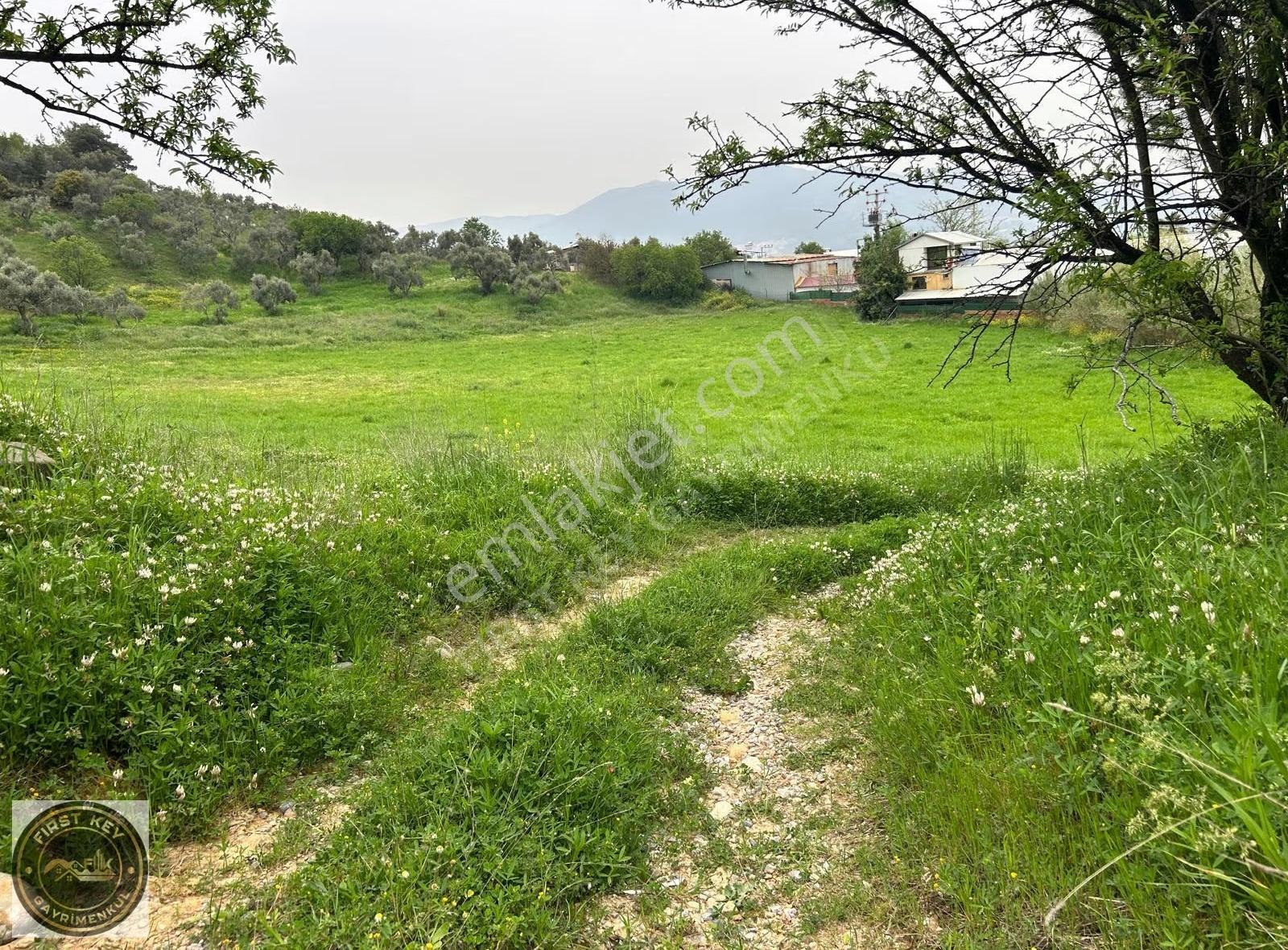 Kemalpaşa Aşağı Kızıca'da Satılık 23.680m² Arazi - Görsel 9