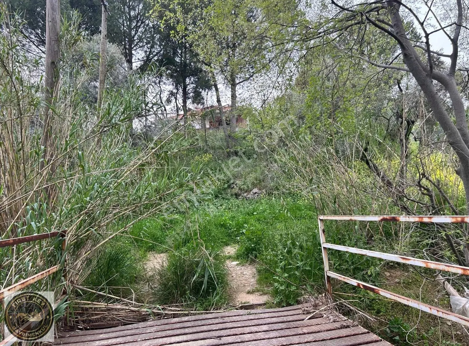 Kemalpaşa Aşağı Kızıca'da Satılık 23.680m² Arazi - Görsel 2