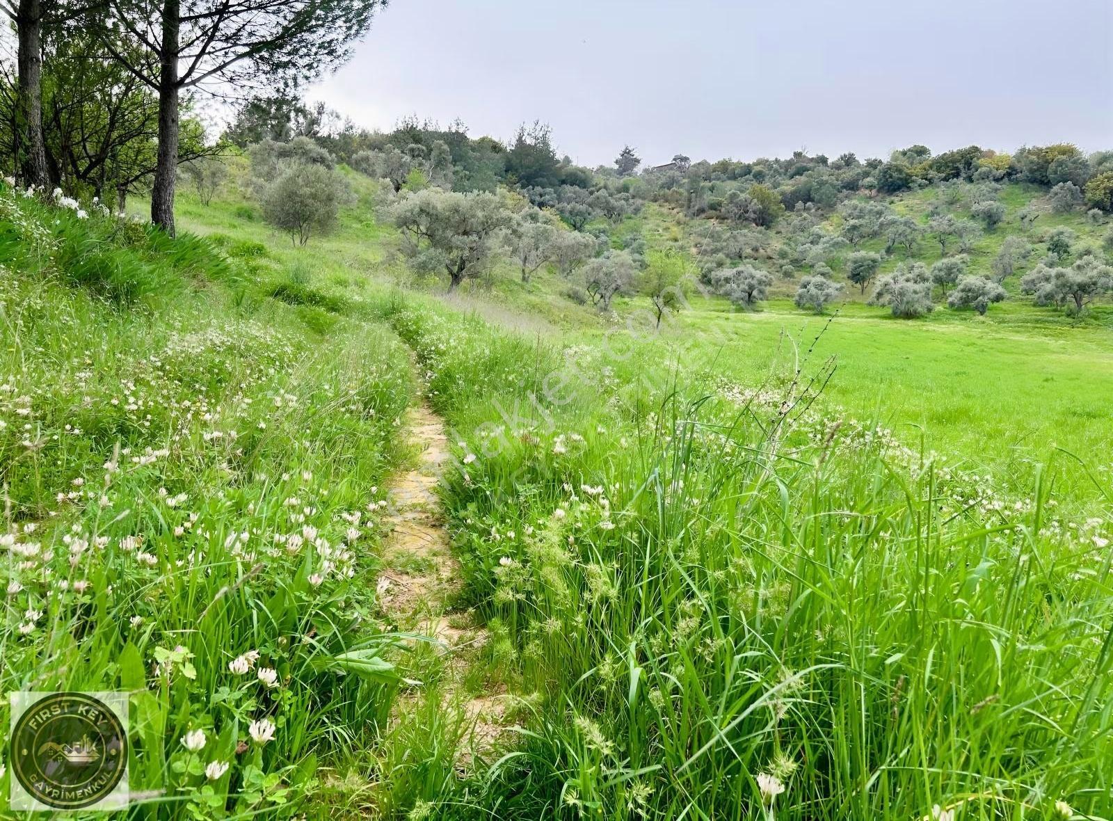 Kemalpaşa Aşağı Kızıca'da Satılık 23.680m² Arazi - Görsel 6