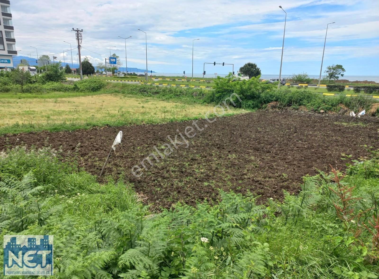 Net Profesyonel Emlaktan Çarşıbaşı'nda Sahil Ve Yol Kenarı Arsa - Görsel 8