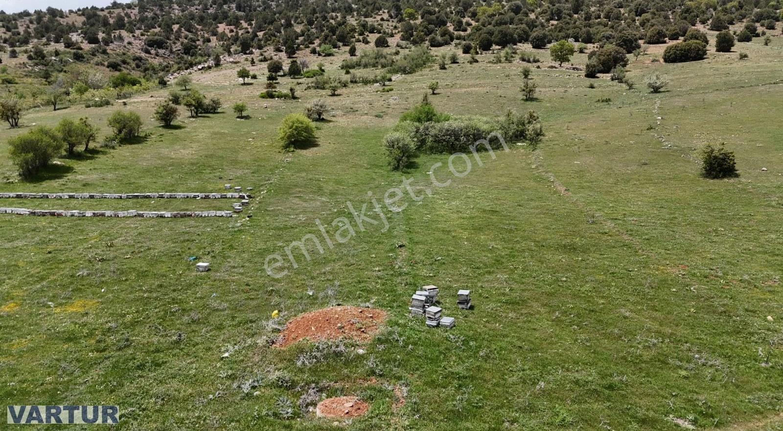 Seydikemer Yayla Bekçilerde Merkeze Yakın Fırsat Fiyatta Tarla - Görsel 10