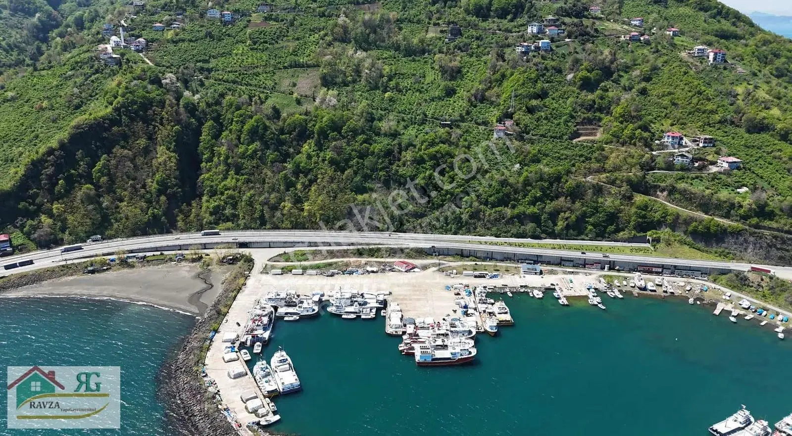 Çarşıbaşı'nda Deniz Manzaralı Satılık 2.417 M² Fındık Bahçesi - Görsel 5