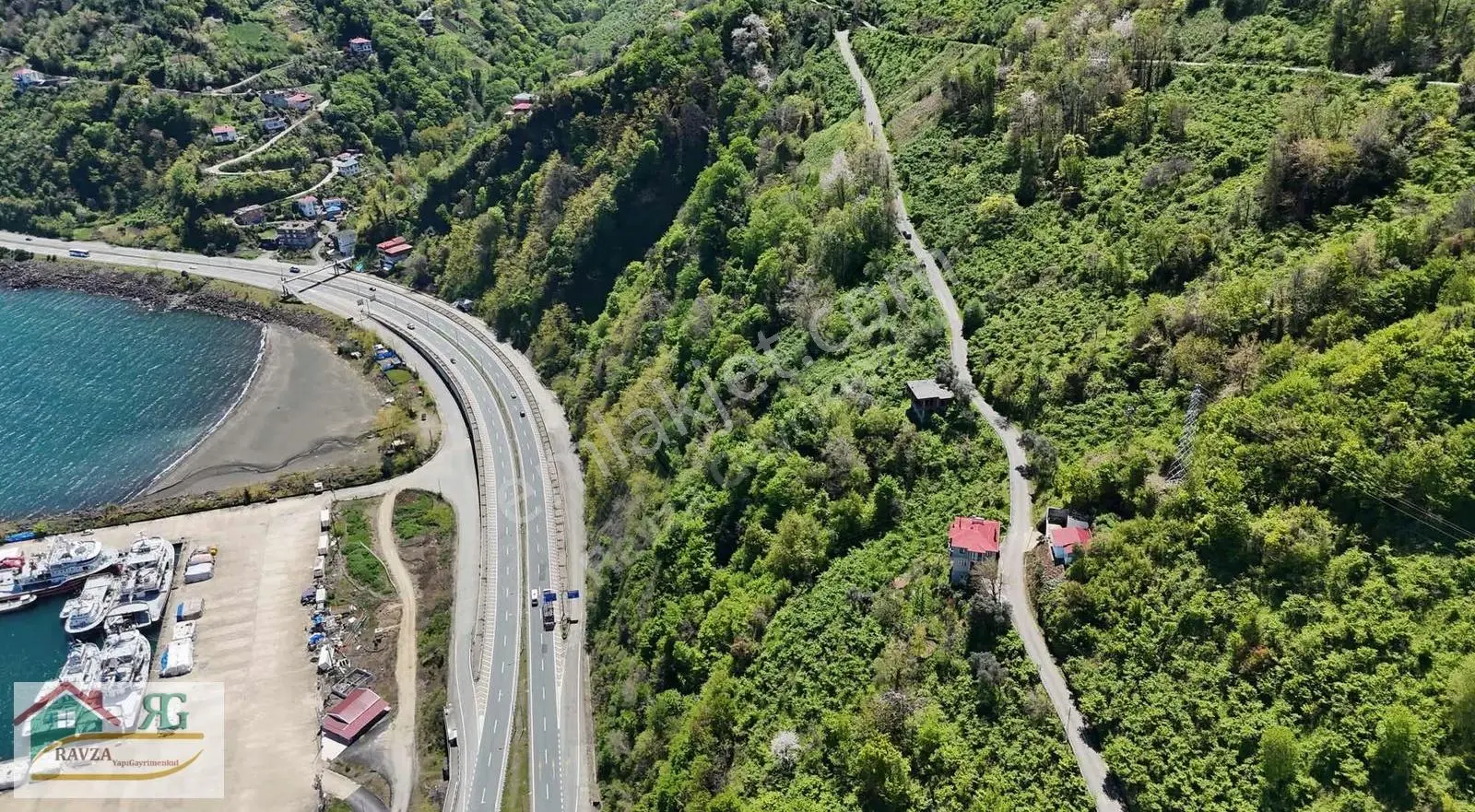 Çarşıbaşı'nda Deniz Manzaralı Satılık 2.417 M² Fındık Bahçesi - Görsel 4