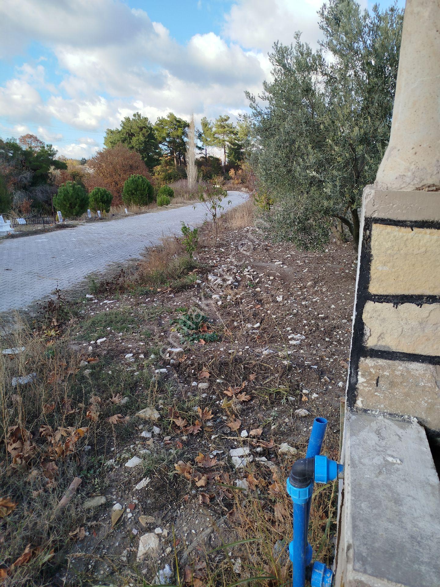 Köye Suya Yakın Tarla - Görsel 6