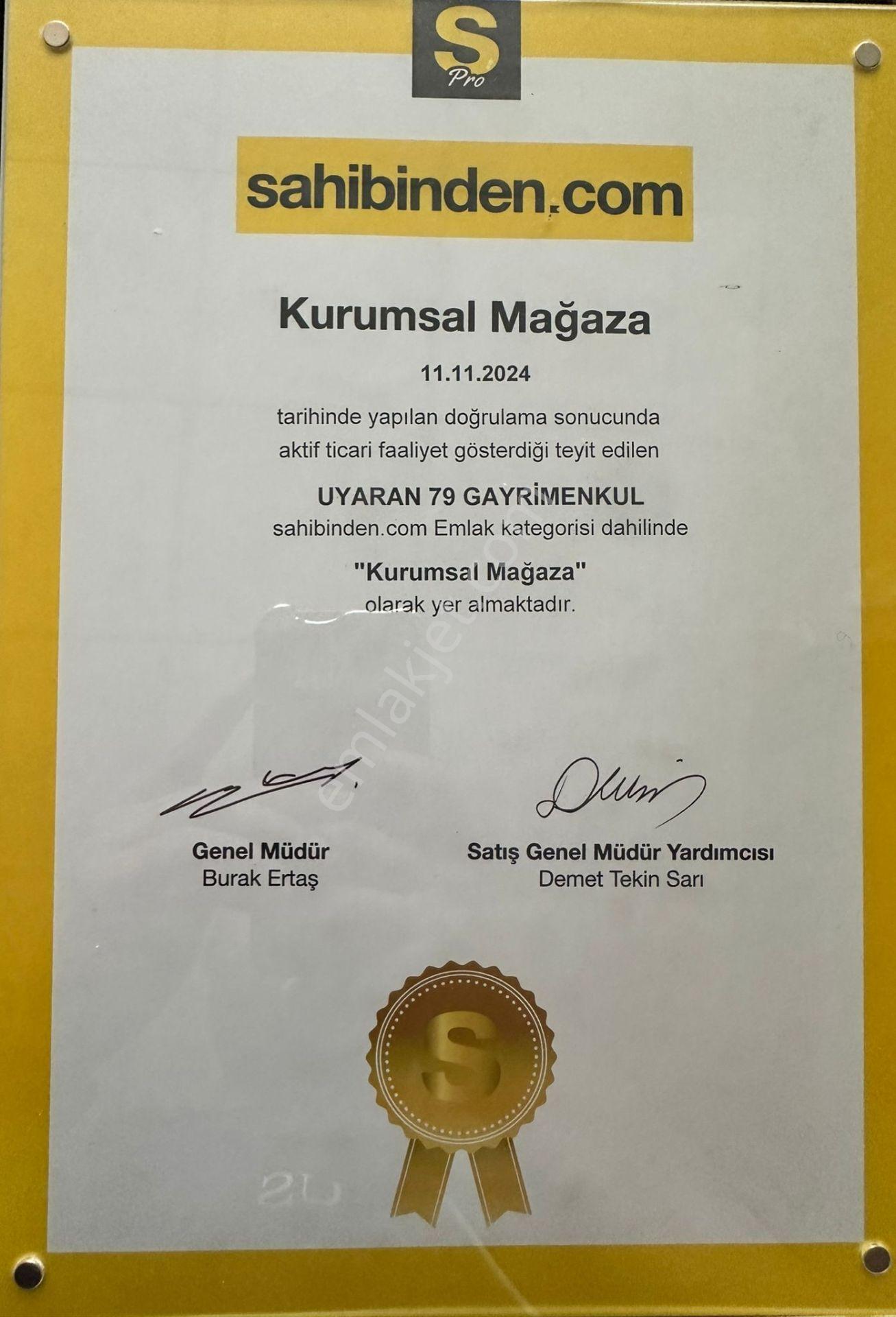 Uyaran 79'dan Öncüpınarda Satılık 5.765 M² Zeytinlik - Görsel 8