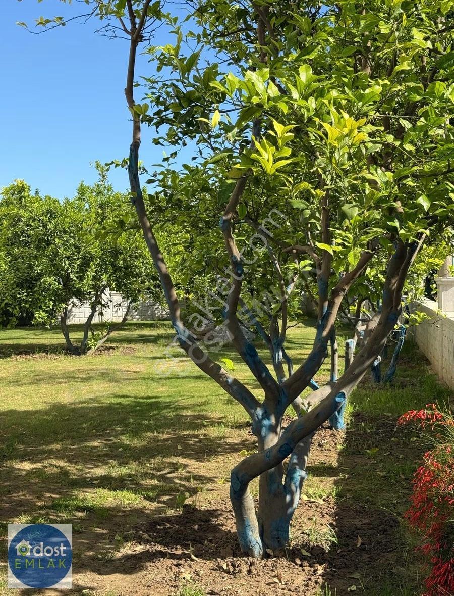 Atakent'te Havuzlu, Eşyalı, 2+1 Kiralık Daire - Görsel 7