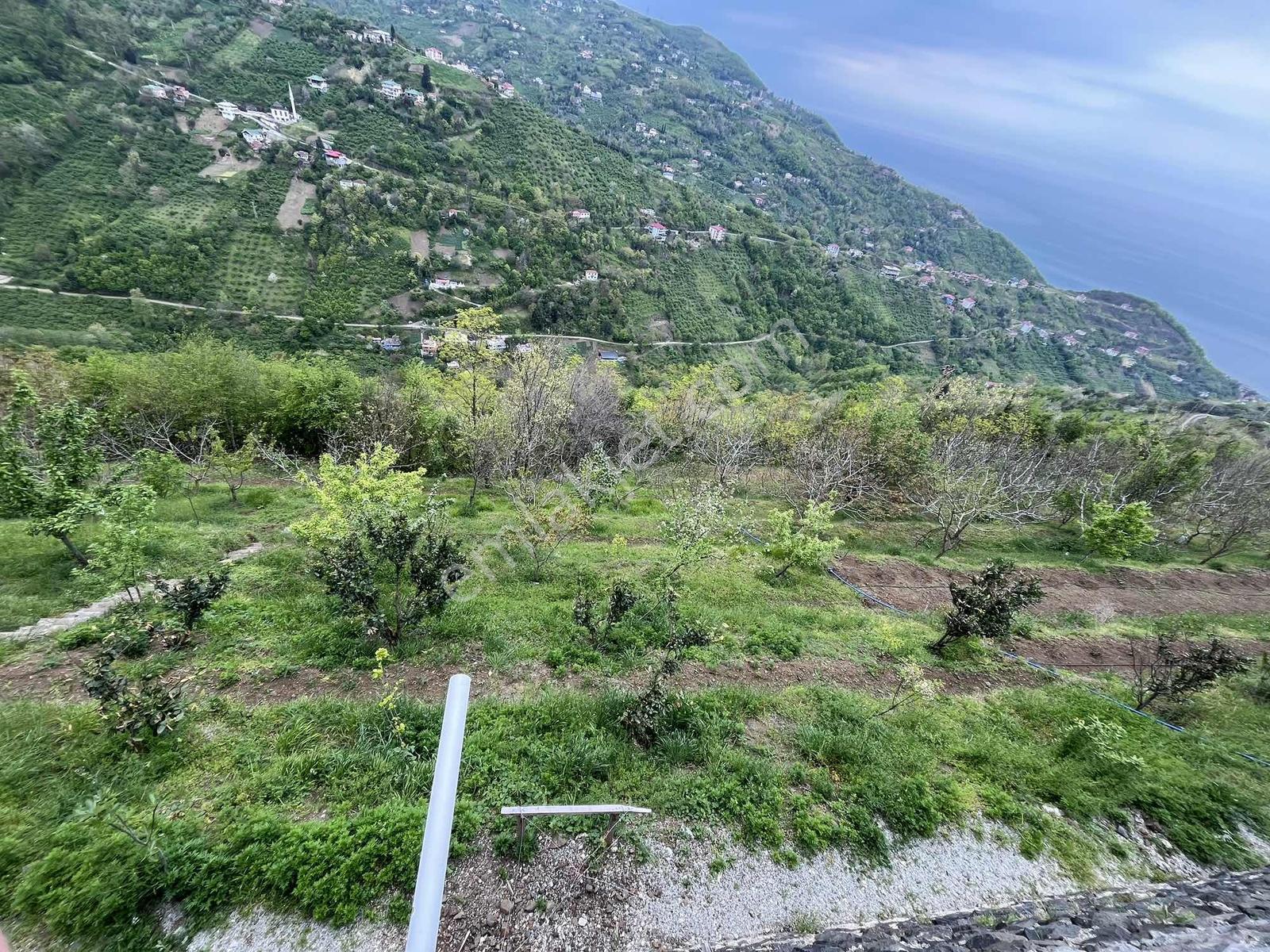 Akçaabat Mersin Deniz Manzaralı Yeni Villa - Görsel 34