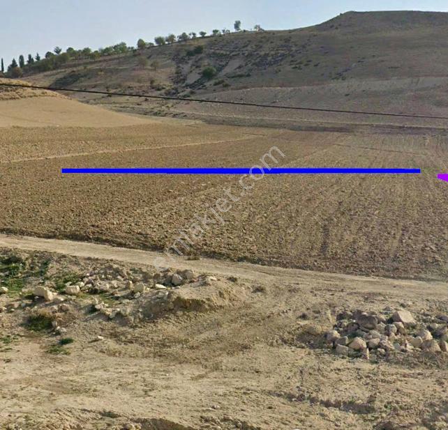Uyaran 79 Gayrimenkulden Beşenli 250ad 50 Yaş Tonluk Fıstıklık - Görsel 12