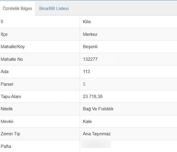 Uyaran 79 Gayrimenkulden Beşenli 250ad 50 Yaş Tonluk Fıstıklık - Görsel 8