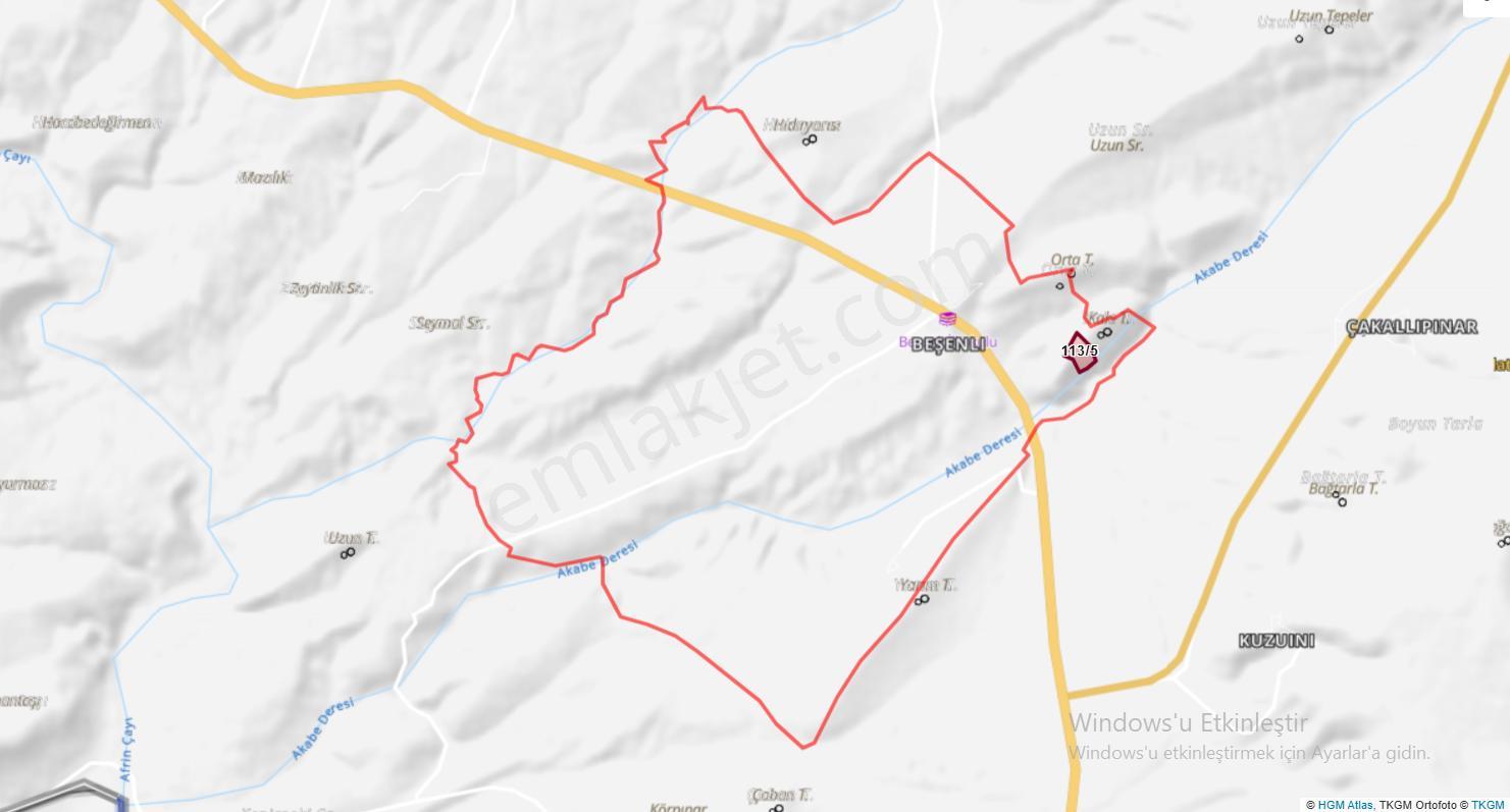 Uyaran 79 Gayrimenkulden Beşenli 250ad 50 Yaş Tonluk Fıstıklık - Görsel 3