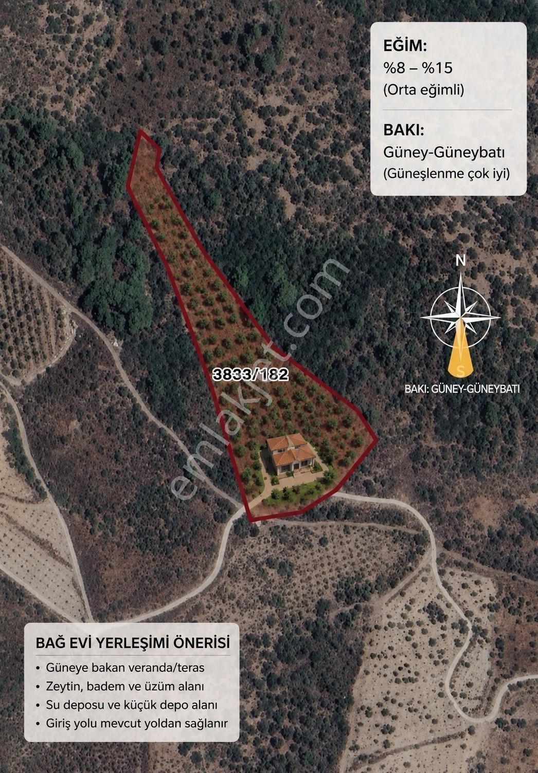 Seferihisar Da Bağevi Hayali Olanlara Deniz Manzaralı Zeytinlik - Görsel 2