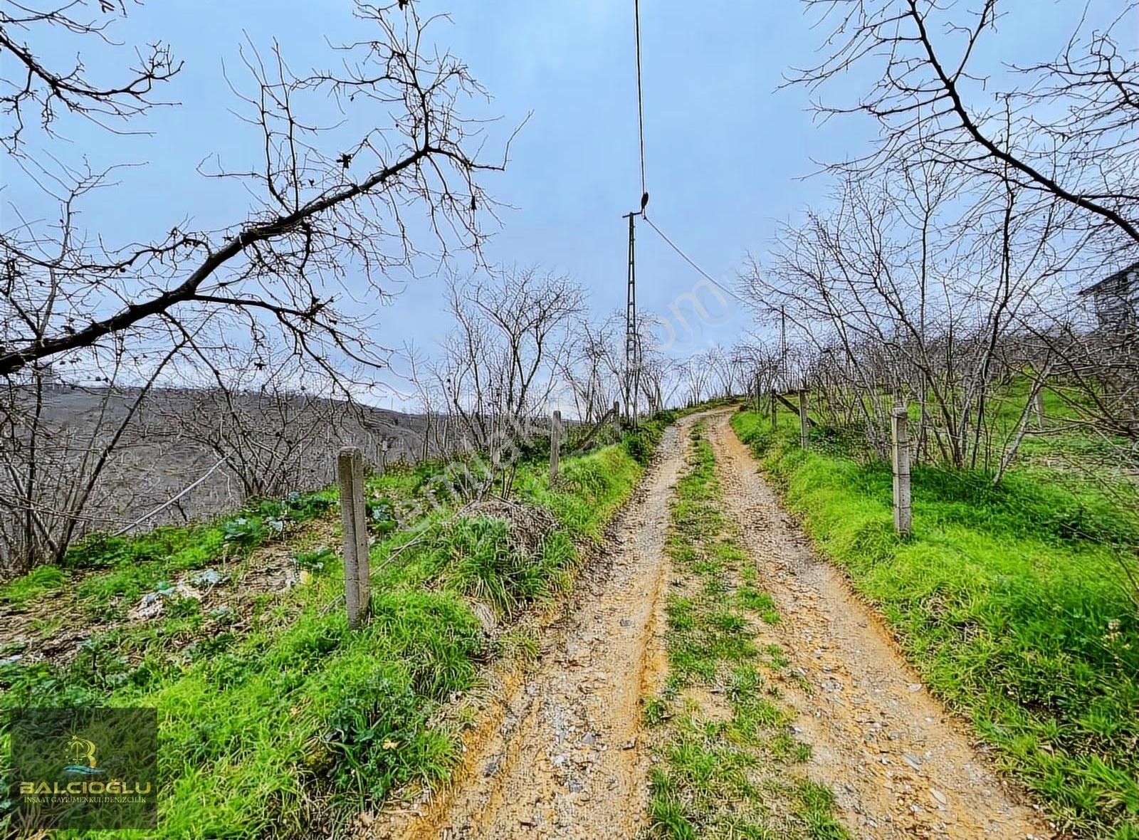Balcıoğlundan Denizdağında Manzaralı Yatırımlık F/p Fındıklık - Görsel 8