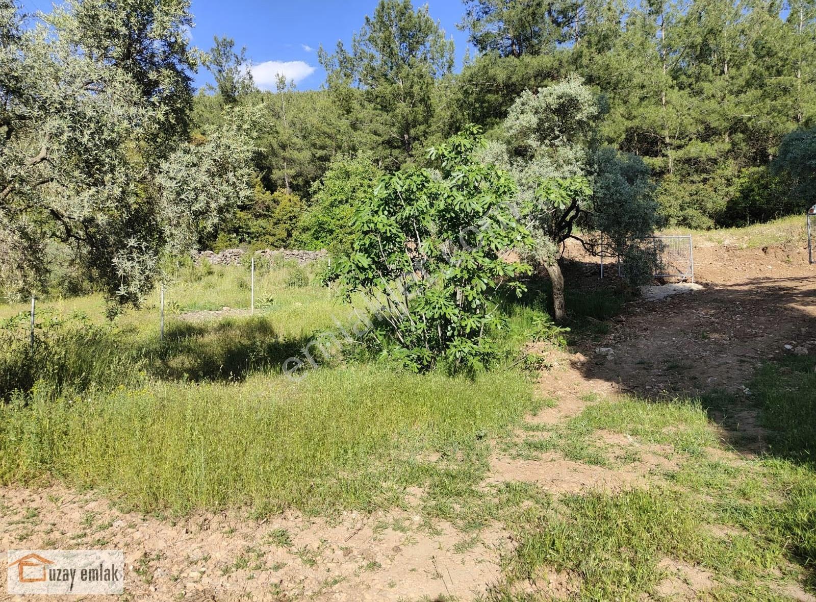 Milas Tuzabat Köyünde Satılık Doğa İçinde 1.800 M² Tarla - Görsel 11