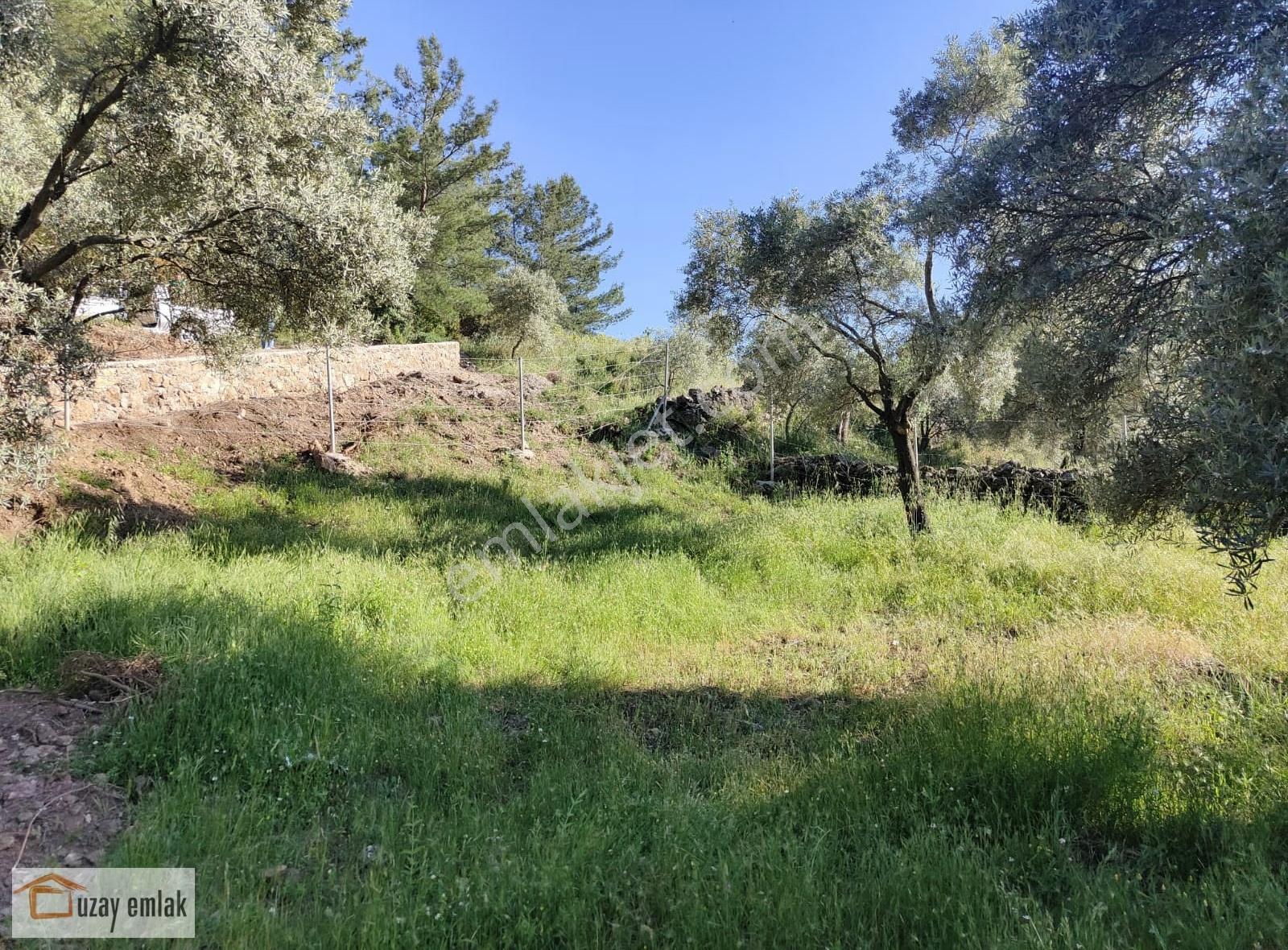Milas Tuzabat Köyünde Satılık Doğa İçinde 1.800 M² Tarla - Görsel 15