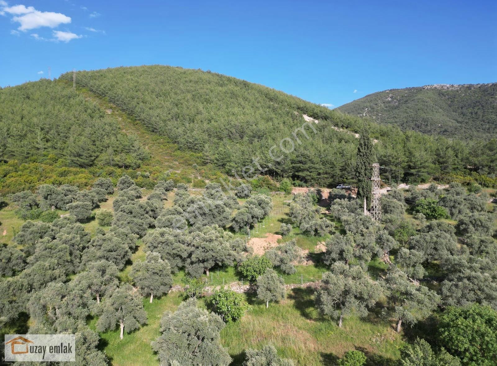 Milas Tuzabat Köyünde Satılık Doğa İçinde 1.800 M² Tarla - Görsel 14