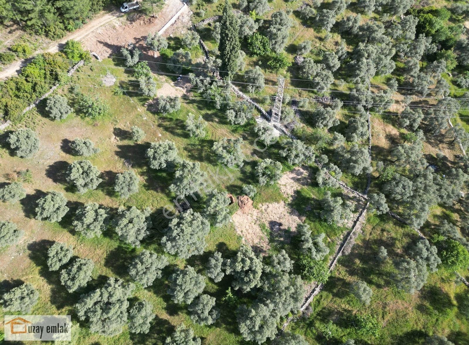 Milas Tuzabat Köyünde Satılık Doğa İçinde 1.800 M² Tarla - Görsel 6