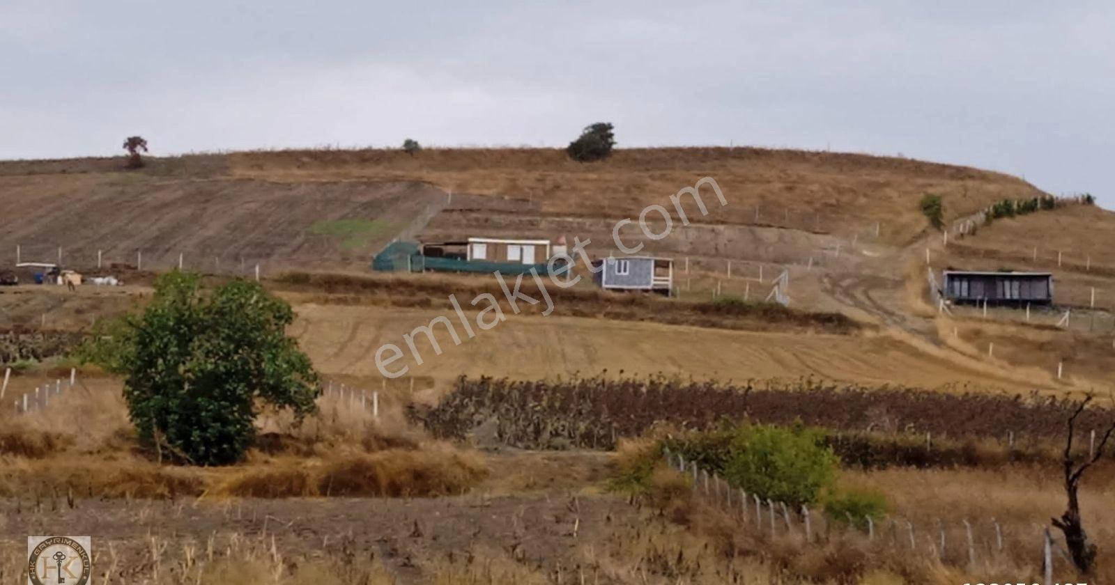 İstanbul Silivri Değirmenköy 1354 M² Satılık Arsa - Görsel 5