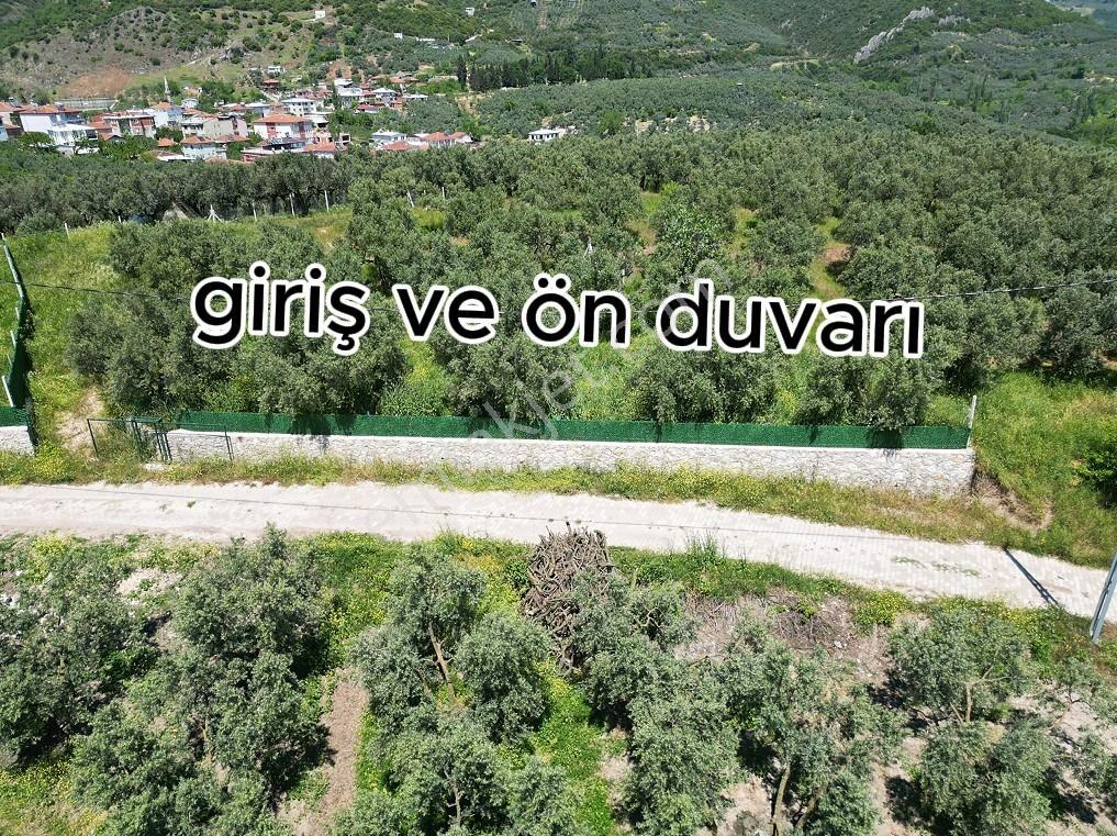 Mirzaoba Köy'ün Dibi Ana Yola Çephe Tek Parça Kupon Hobi Bahçesi - Görsel 3