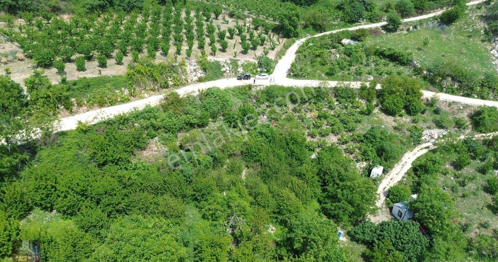 1,568 M2 Müstakil Tapulu 2 Adet 2 Kat Konut İmarlı - Görsel 9