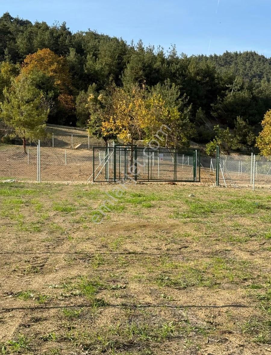 İpekyolu Yapı Emlak'tan Köy İçi Hobi Bahçesi - Görsel 25