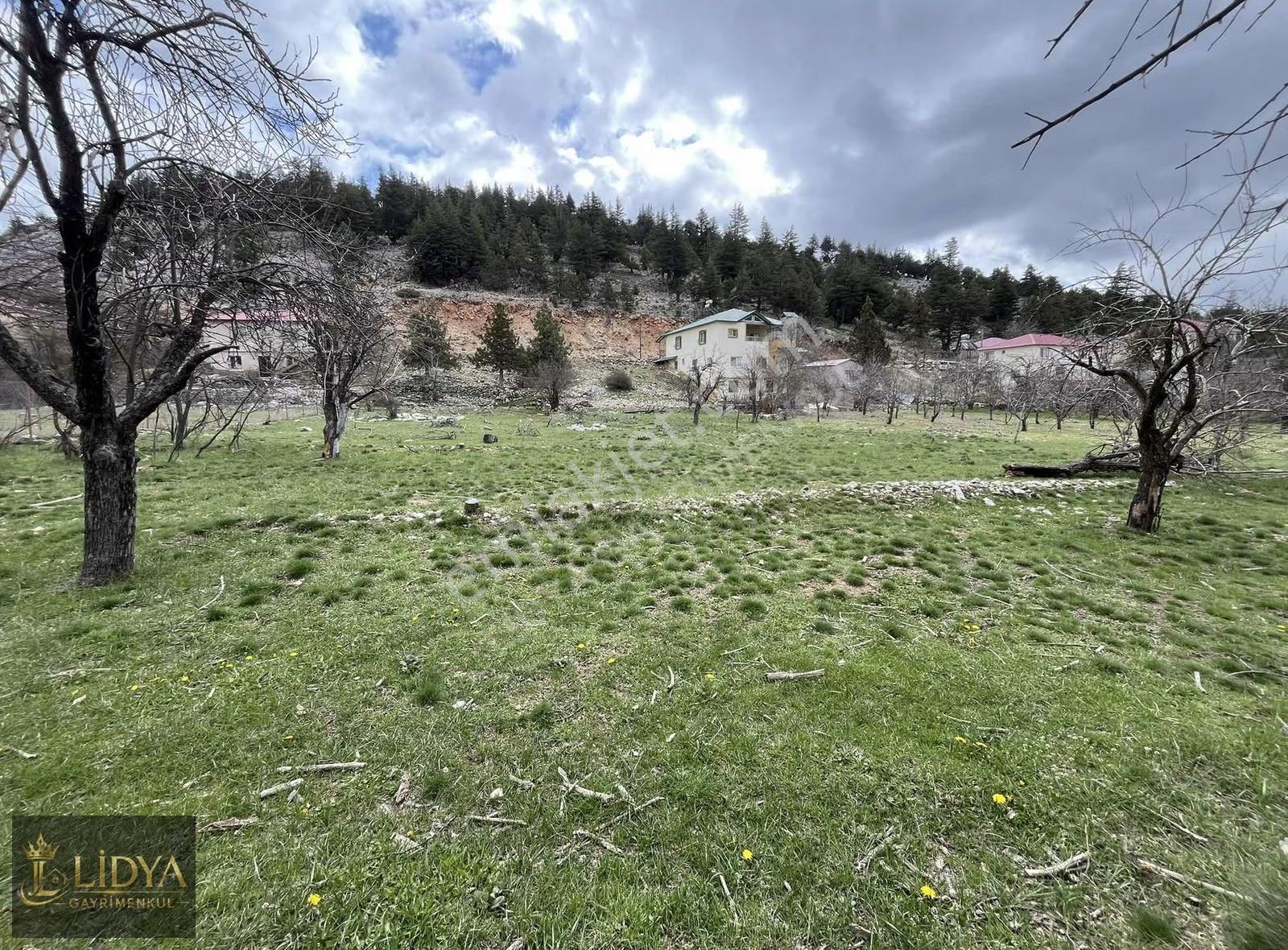 Lidya'dan Toros Yaylasında 770 M2 Satılık Arsa - Görsel 7