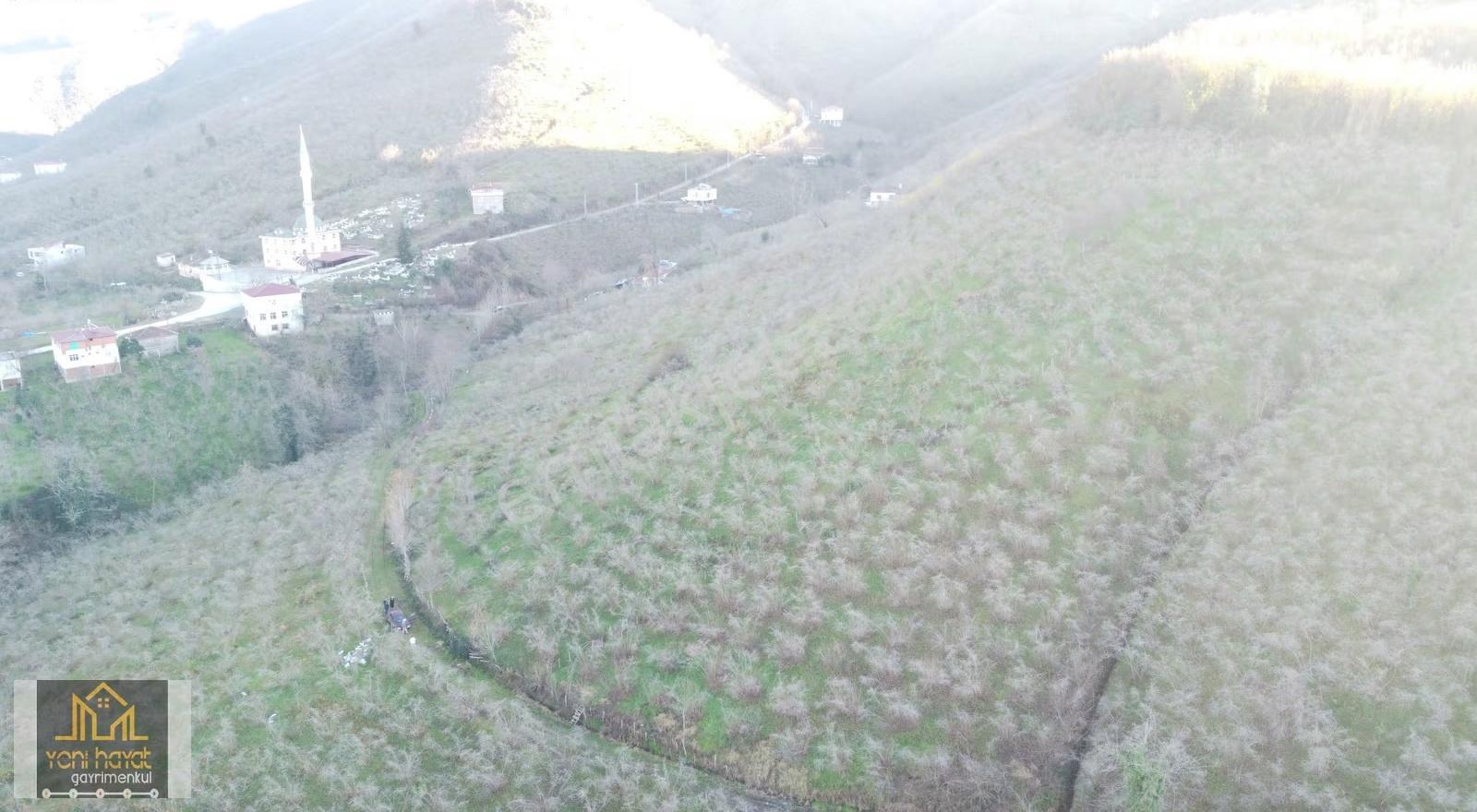 Terme Evci Mh De Satılık 3.750 M Fındık Bahçesi - Görsel 5