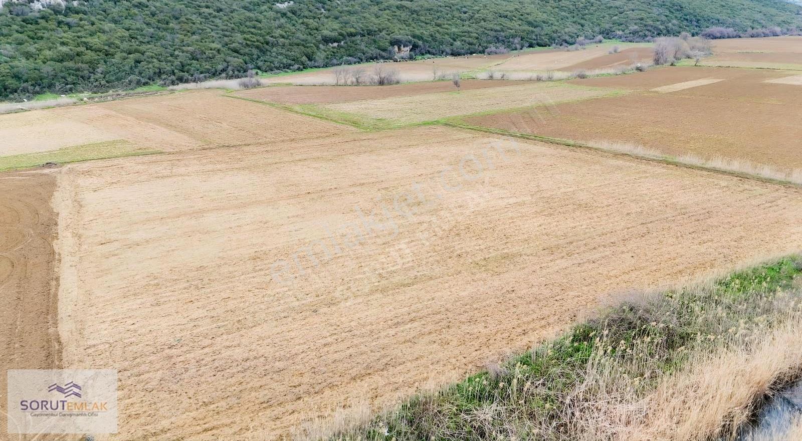 İtalyan Koyunda Yatırımlık 3961 M² Müstakil Tapulu Tarla - Görsel 23