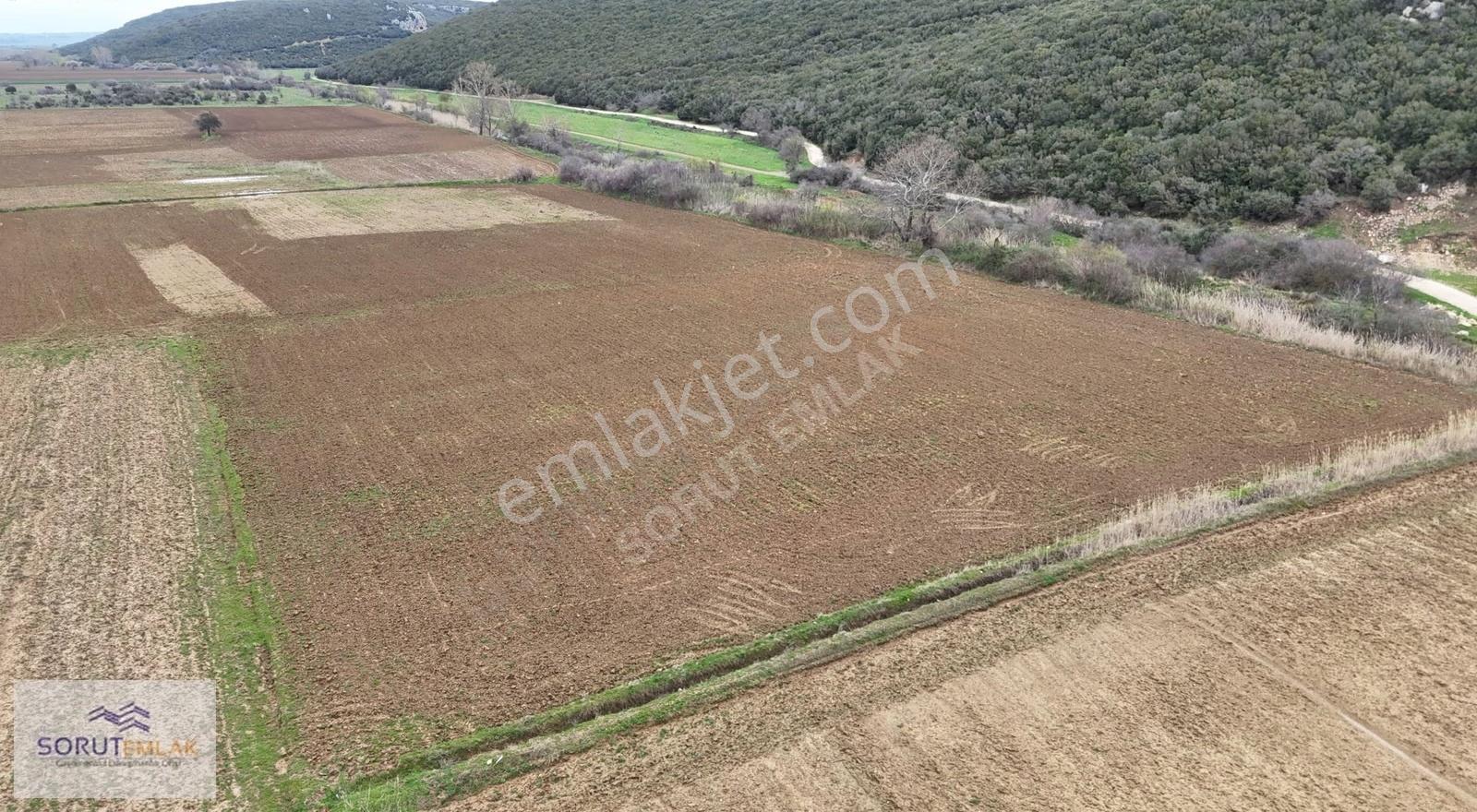 İtalyan Koyunda Yatırımlık 3961 M² Müstakil Tapulu Tarla - Görsel 32
