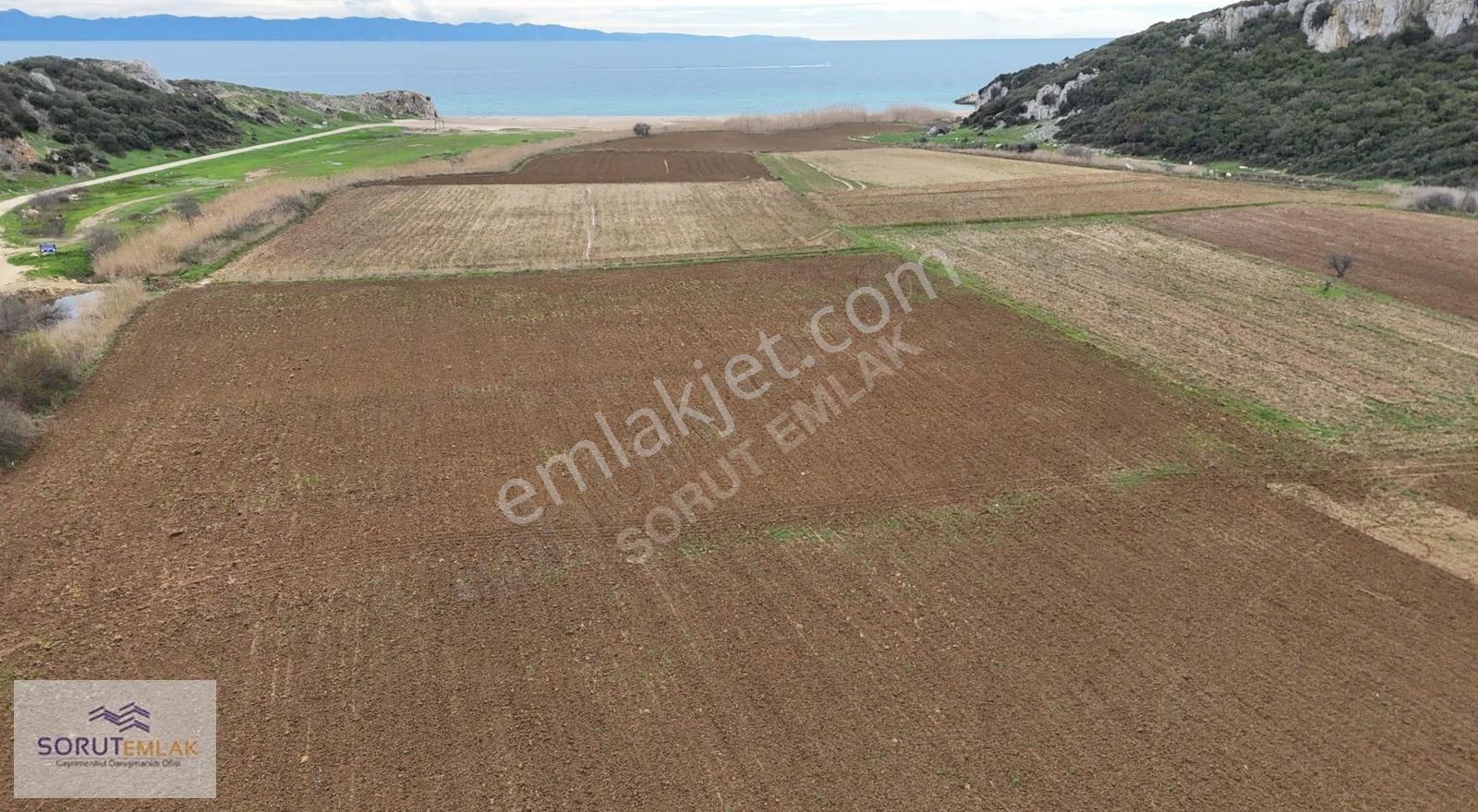 İtalyan Koyunda Yatırımlık 3961 M² Müstakil Tapulu Tarla - Görsel 5