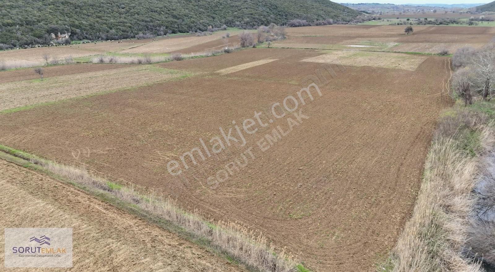 İtalyan Koyunda Yatırımlık 3961 M² Müstakil Tapulu Tarla - Görsel 25