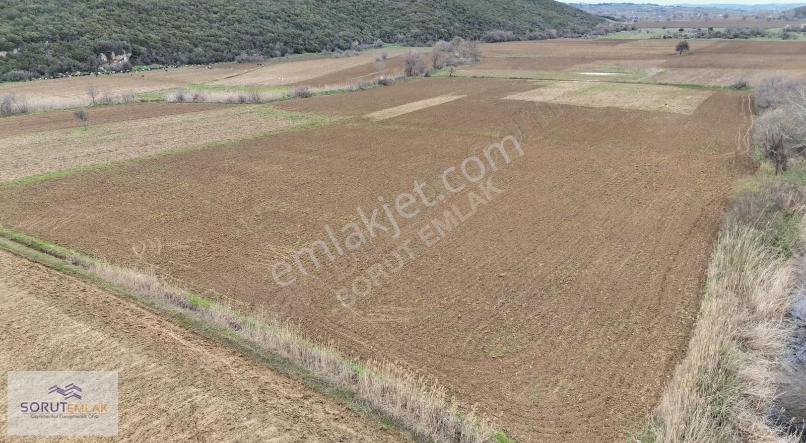 İtalyan Koyunda Yatırımlık 3961 M² Müstakil Tapulu Tarla - Görsel 26