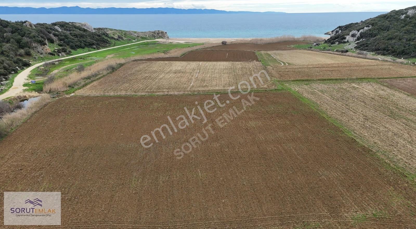 İtalyan Koyunda Yatırımlık 3961 M² Müstakil Tapulu Tarla - Görsel 14