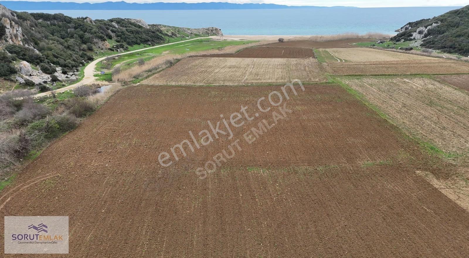 İtalyan Koyunda Yatırımlık 3961 M² Müstakil Tapulu Tarla - Görsel 17