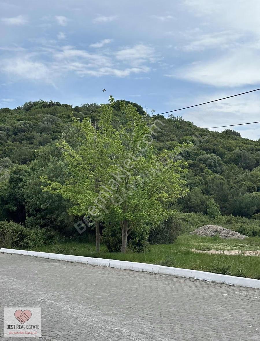 Milas Bodrum Boğaziçi'nde Elektrik Su Hazır 2575m² Satılık Tarla - Görsel 16