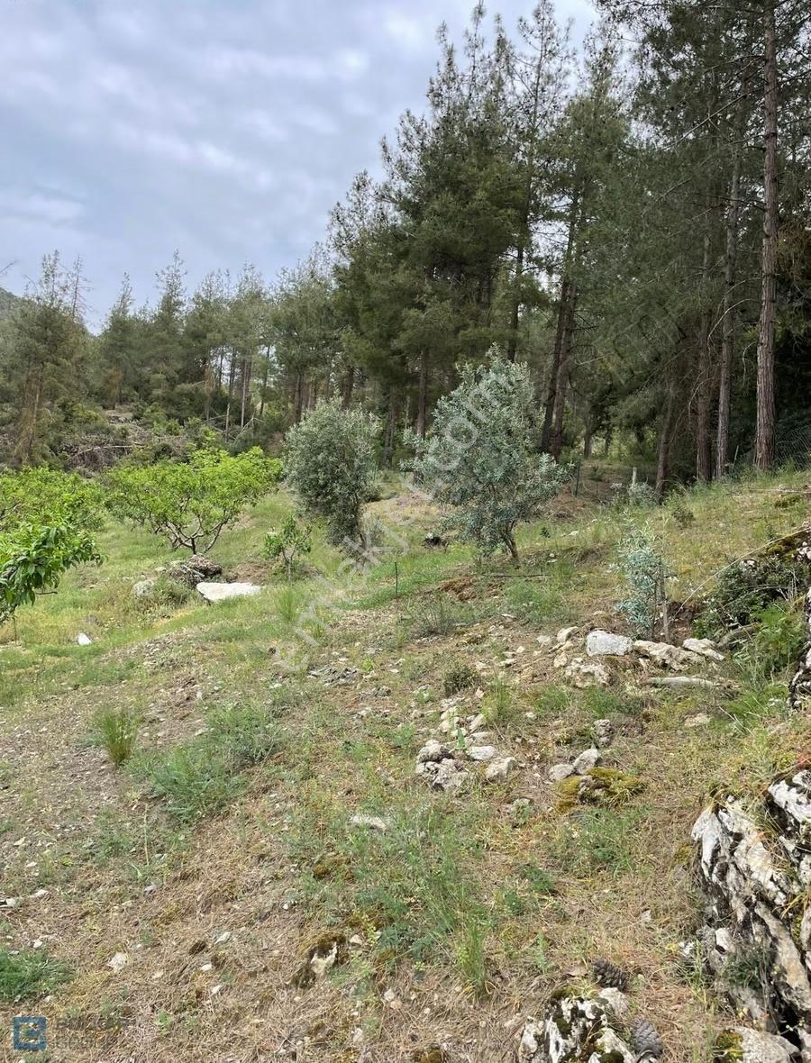 Mersin Toroslar Yeniköyde Satılık Köy İçi İmarlı 3430m² Arazi - Görsel 4