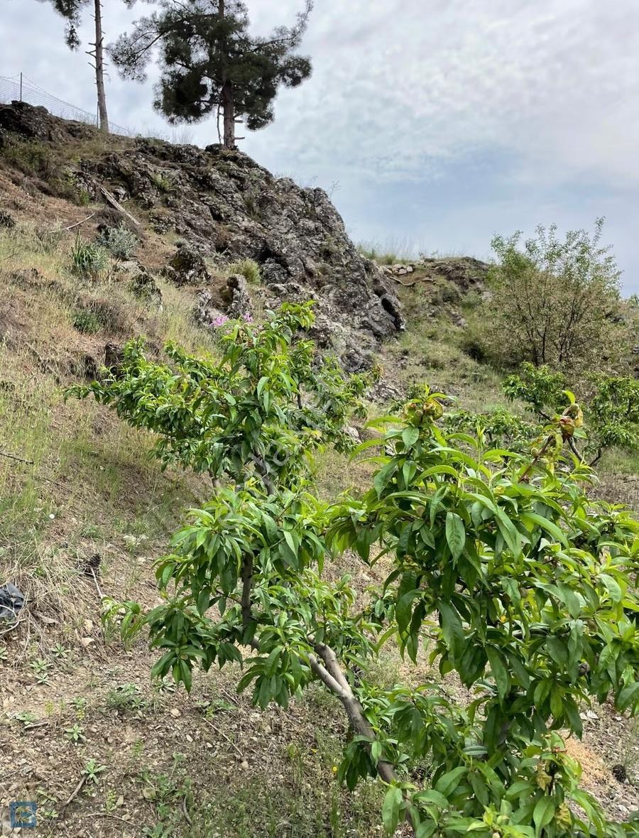 Mersin Toroslar Yeniköyde Satılık Köy İçi İmarlı 3430m² Arazi - Görsel 12