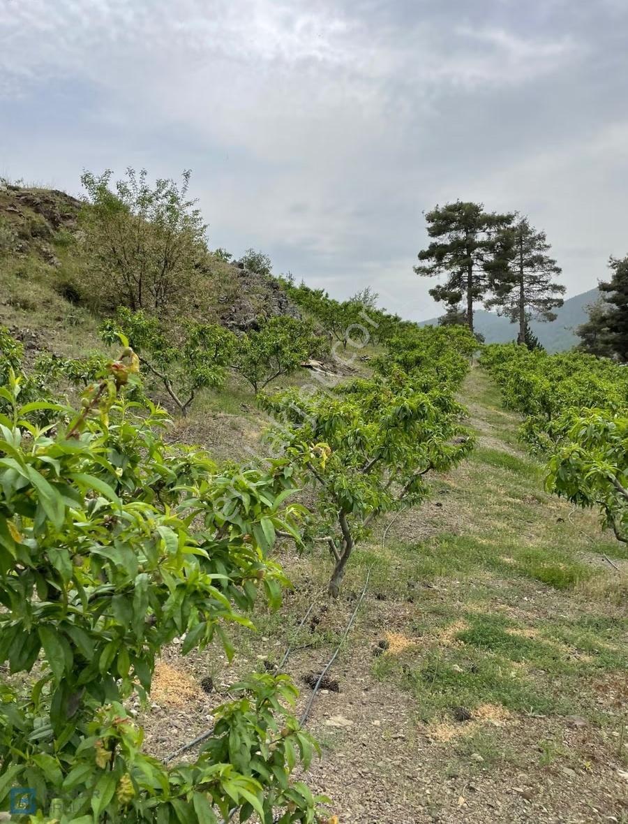 Mersin Toroslar Yeniköyde Satılık Köy İçi İmarlı 3430m² Arazi - Görsel 9