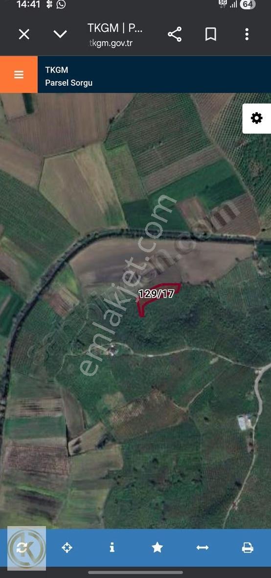 Kaymak Emlaktan Karasu Limanderede 2566 M² Fındık Bahçesi - Görsel 21