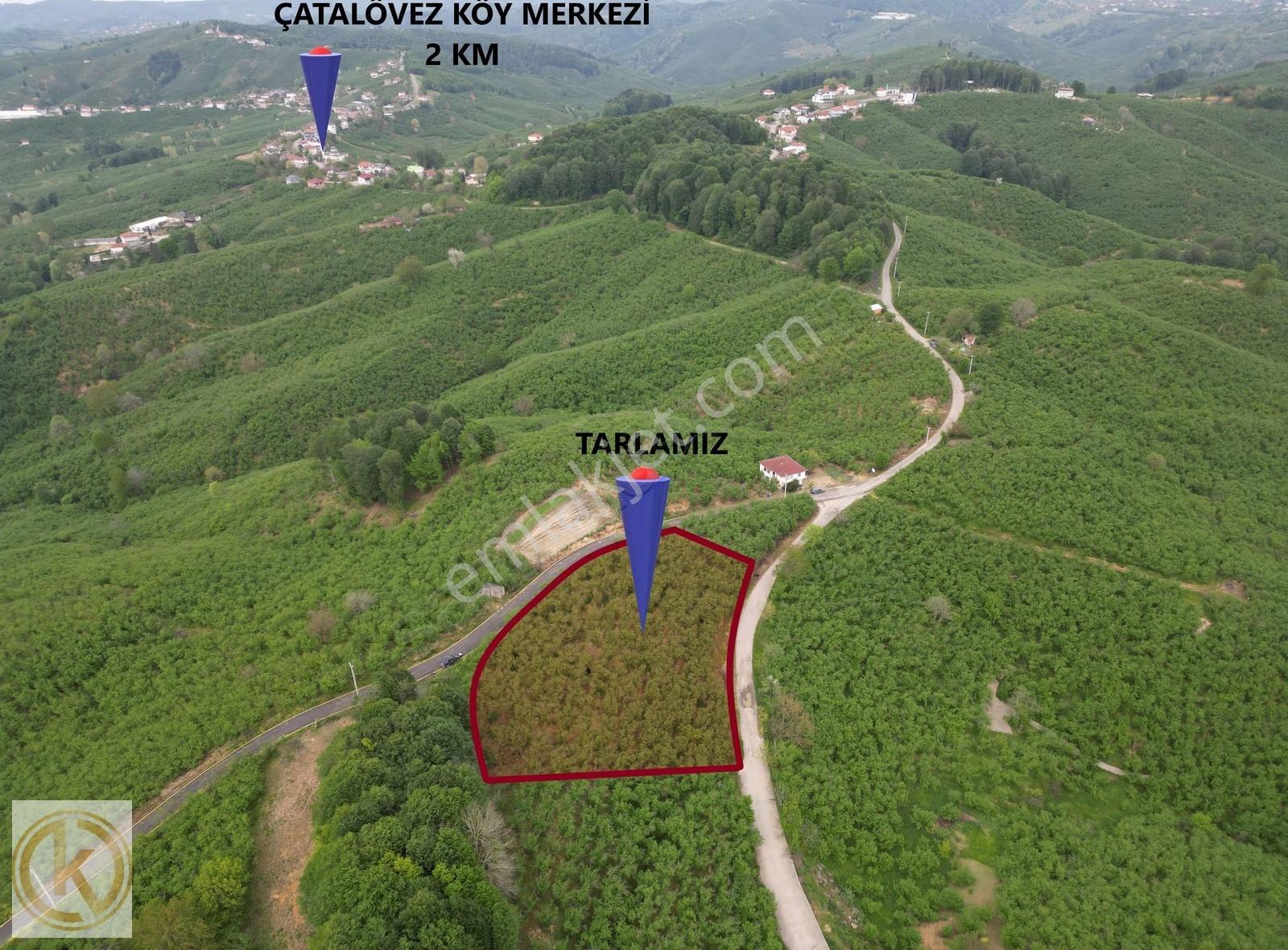 Kaymak Emlaktan Karasu Yuvalıderede Yol Kenarı Satılık Fındıklık - Görsel 32