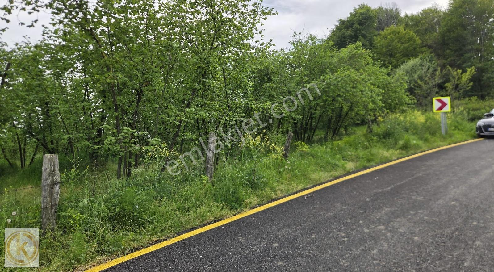Kaymak Emlaktan Karasu Yuvalıderede Yol Kenarı Satılık Fındıklık - Görsel 3