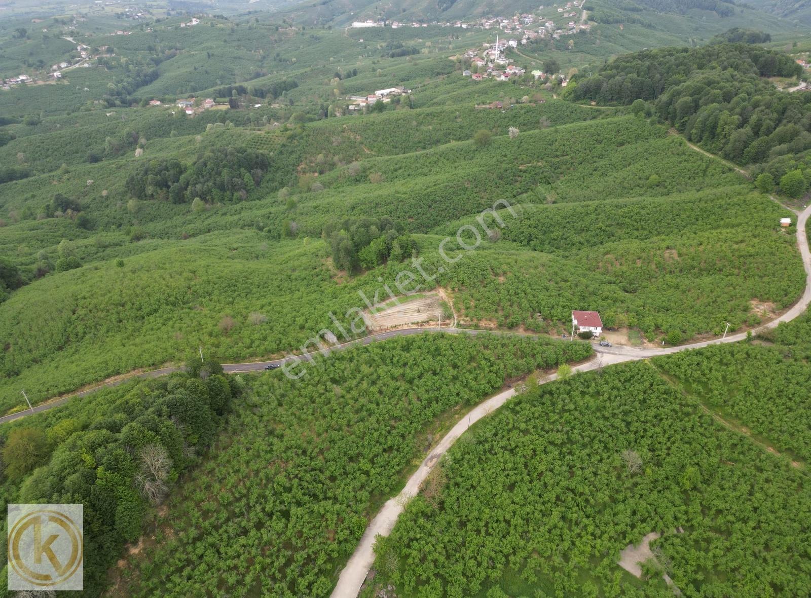 Kaymak Emlaktan Karasu Yuvalıderede Yol Kenarı Satılık Fındıklık - Görsel 22