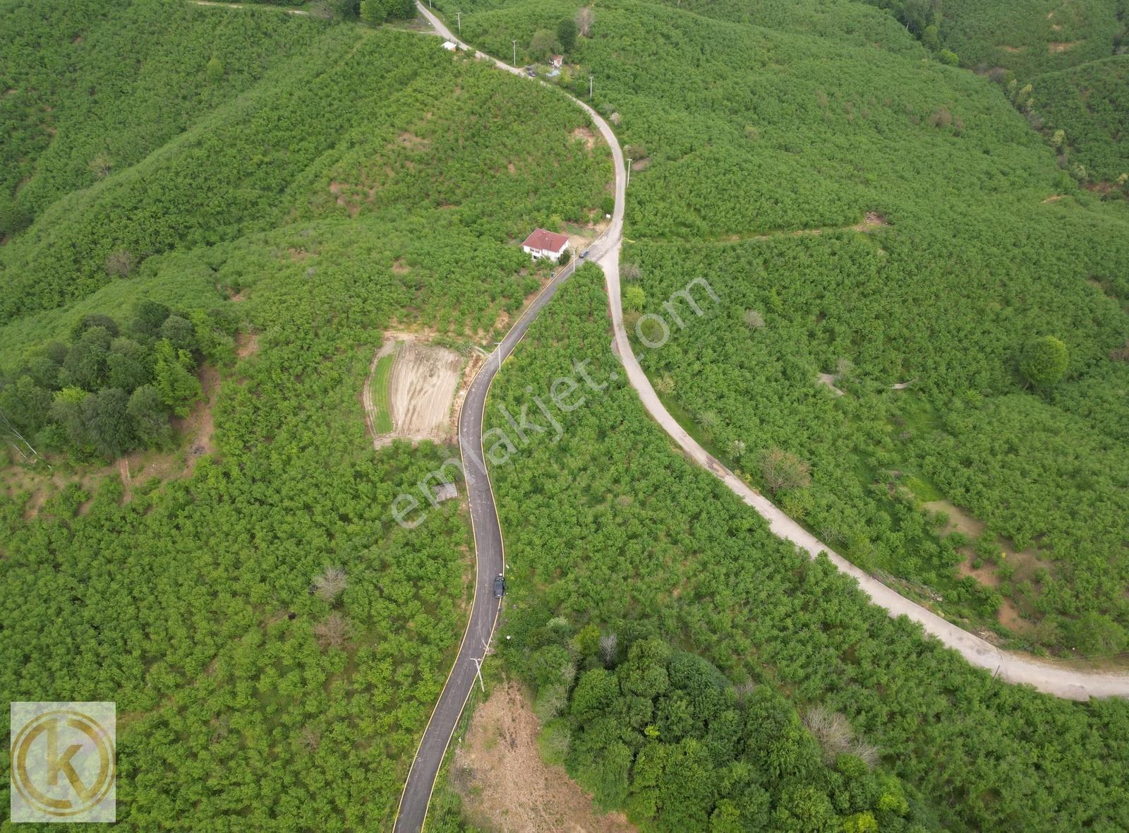 Kaymak Emlaktan Karasu Yuvalıderede Yol Kenarı Satılık Fındıklık - Görsel 24