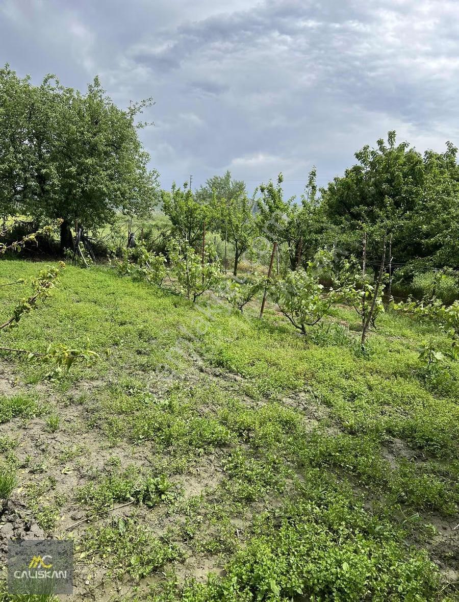 Emirseyit'te Satılık 3077 M2 Bahçe - Elektrik-su-yol Mevcut - Görsel 6